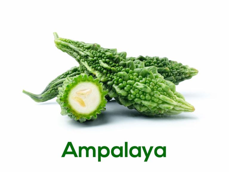Get To Know The Health Benefits of Each Ampalaya Plus Ingredient